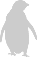 pingüino vector