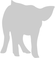 Pig vector