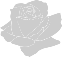 Rose vector