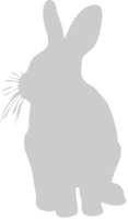 Rabbit vector