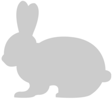 Rabbit vector