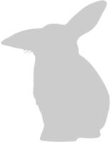 Rabbit vector