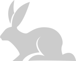 Rabbit vector