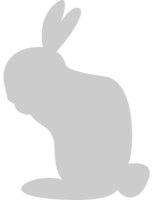 Rabbit vector