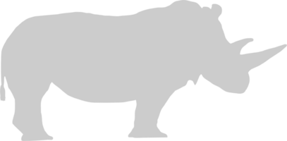rinoceronte vector