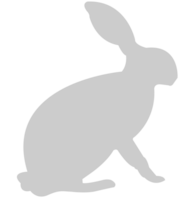 Rabbit vector