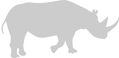 rinoceronte vector