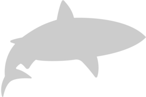 Shark vector