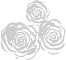 Rose vector