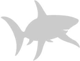 Shark vector