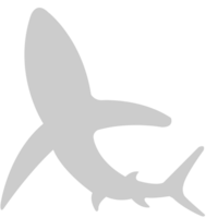 Shark vector