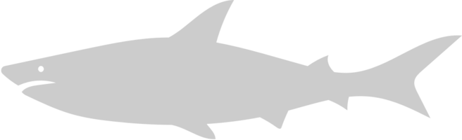 tiburón vector