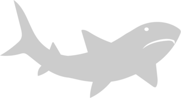 Shark vector