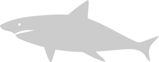 Shark vector