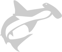 Shark vector