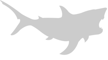 tiburón vector