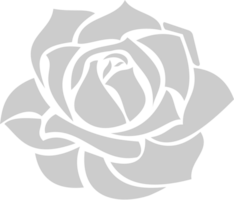 Rose vector