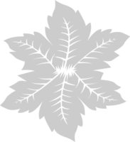 Leaf vector