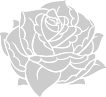 Rose vector