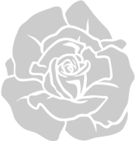 Rose vector