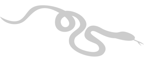 serpiente vector