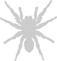 Spider vector