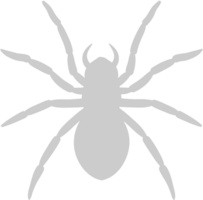 Spider vector