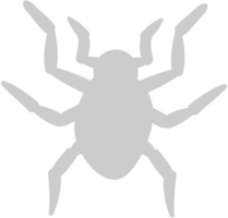 Spider vector