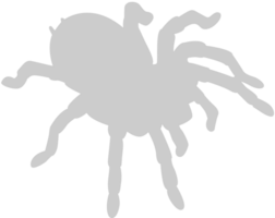 Spider vector