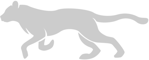 Gato grande vector