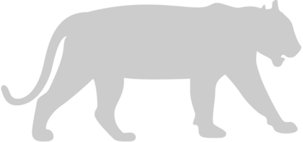 Big Cat vector