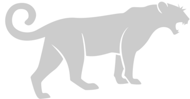 Big Cat vector