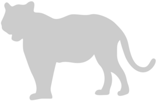 Gato grande vector