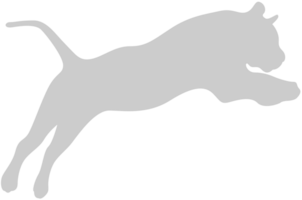 Big Cat vector