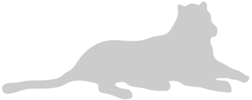 Gato grande vector