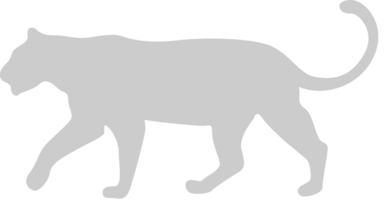 Gato grande vector