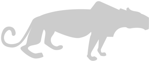 Big Cat vector