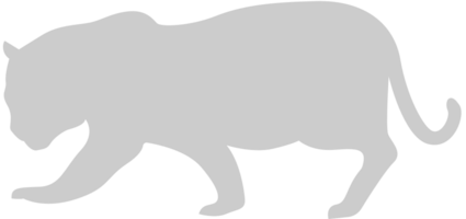 Gato grande vector