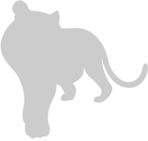 Big Cat vector