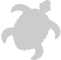 Tortuga vector