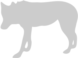 Wolf vector