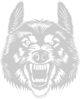 Wolf vector