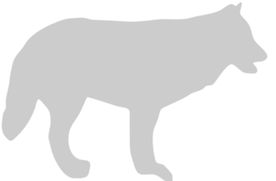 Wolf vector