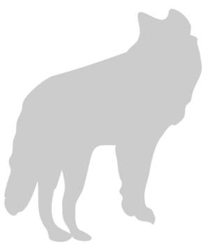 lobo vector
