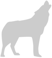 Wolf vector