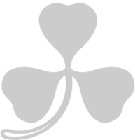 Shamrock vector