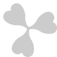 Shamrock vector