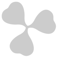 Shamrock  vector