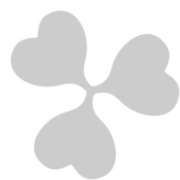 Shamrock  vector