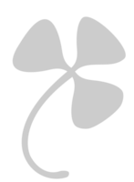 Shamrock vector